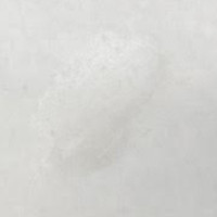 125 Iridescent white λαδοπαστέλ Sennelier